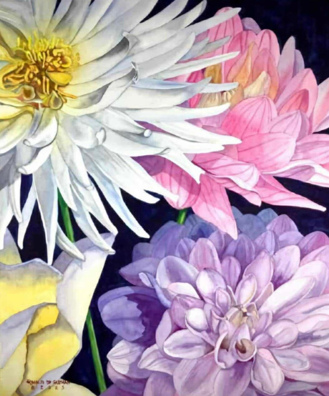 Tres Dahlias