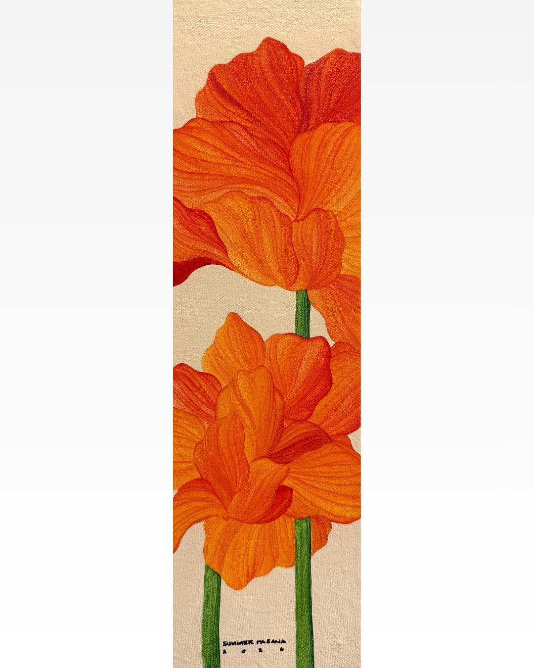 A Rhythm of Petals