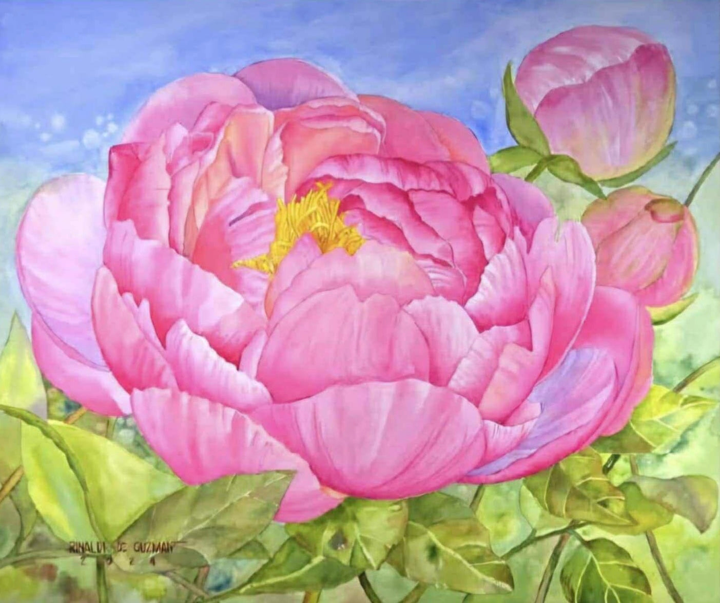 Peony (Pink Happiness)