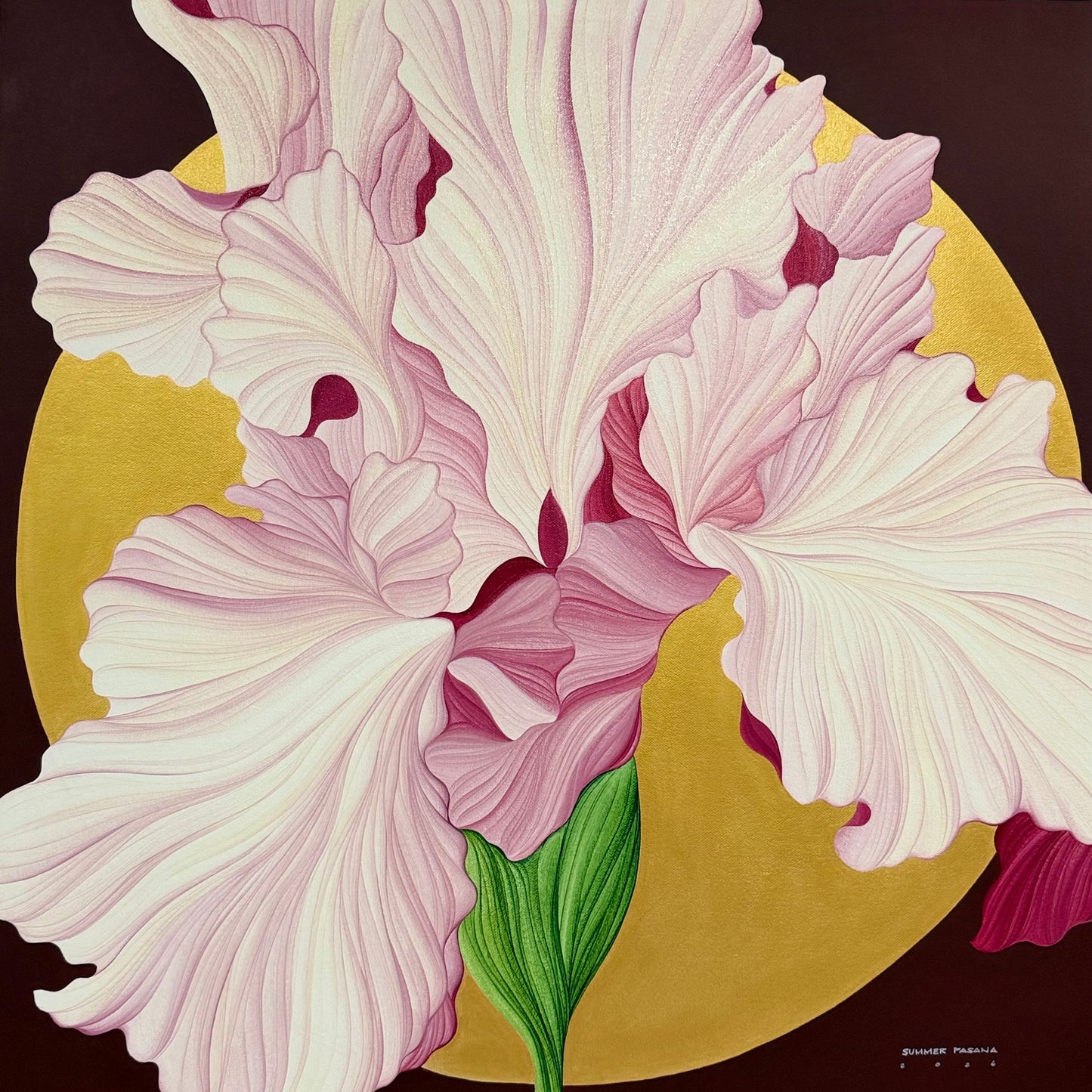 A Delicate Grace