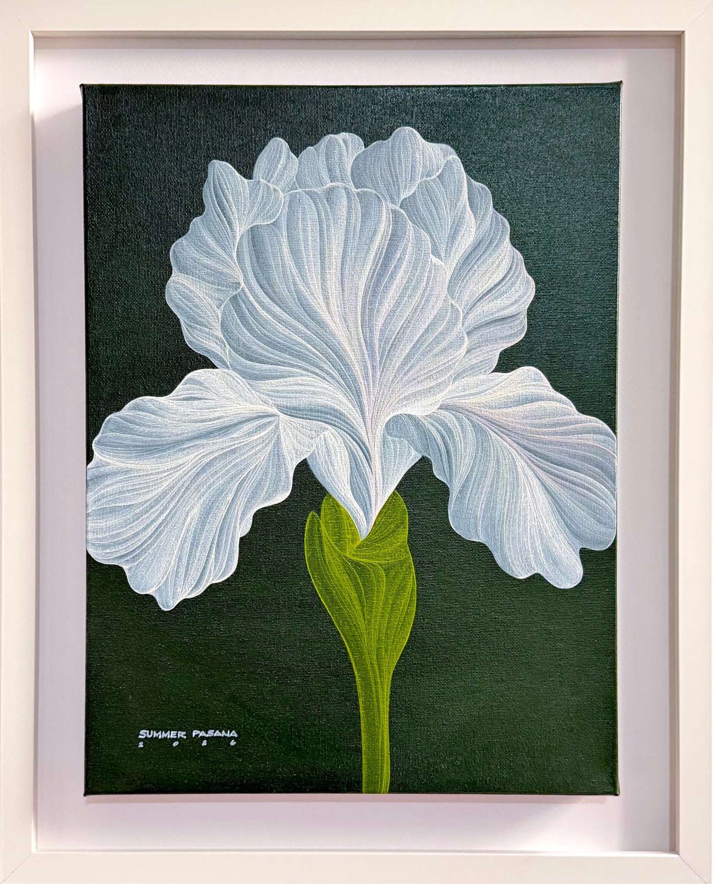 Stillness in White