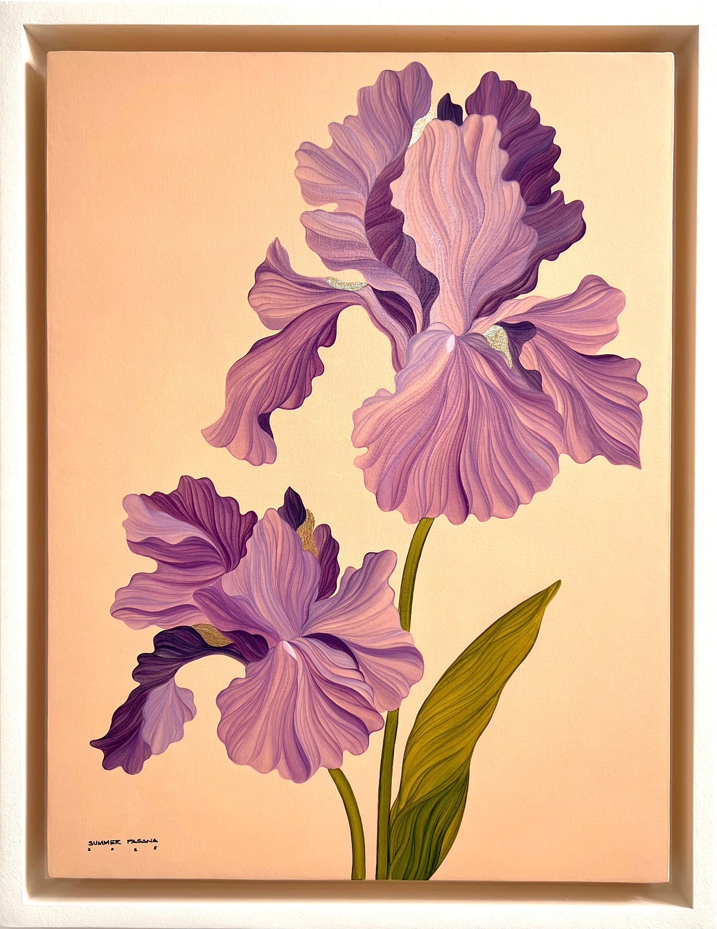 Iris Cent'anni