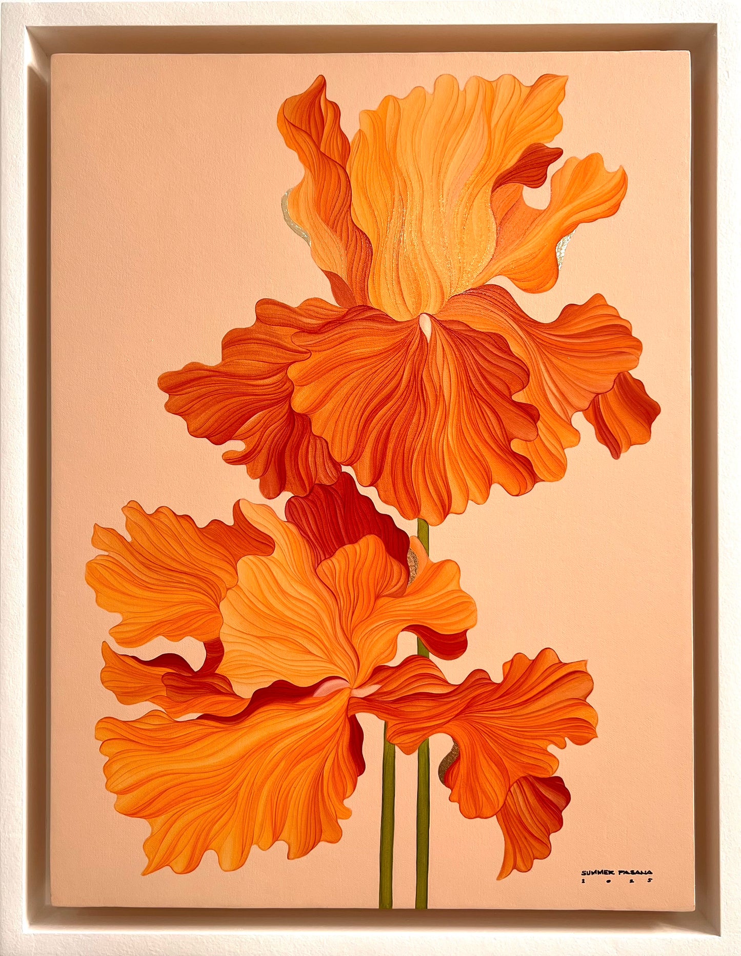 The Sunset Irises