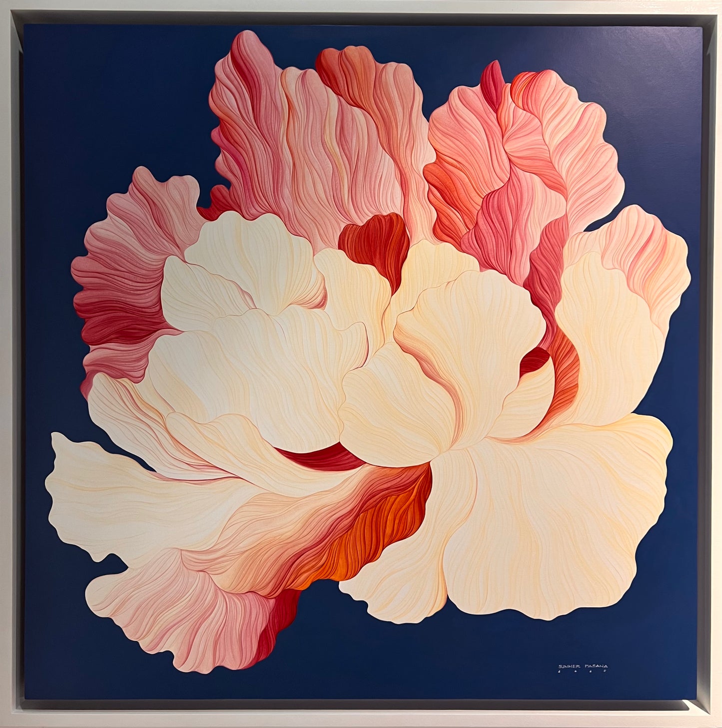 Look at the Sky, I'm Still Here