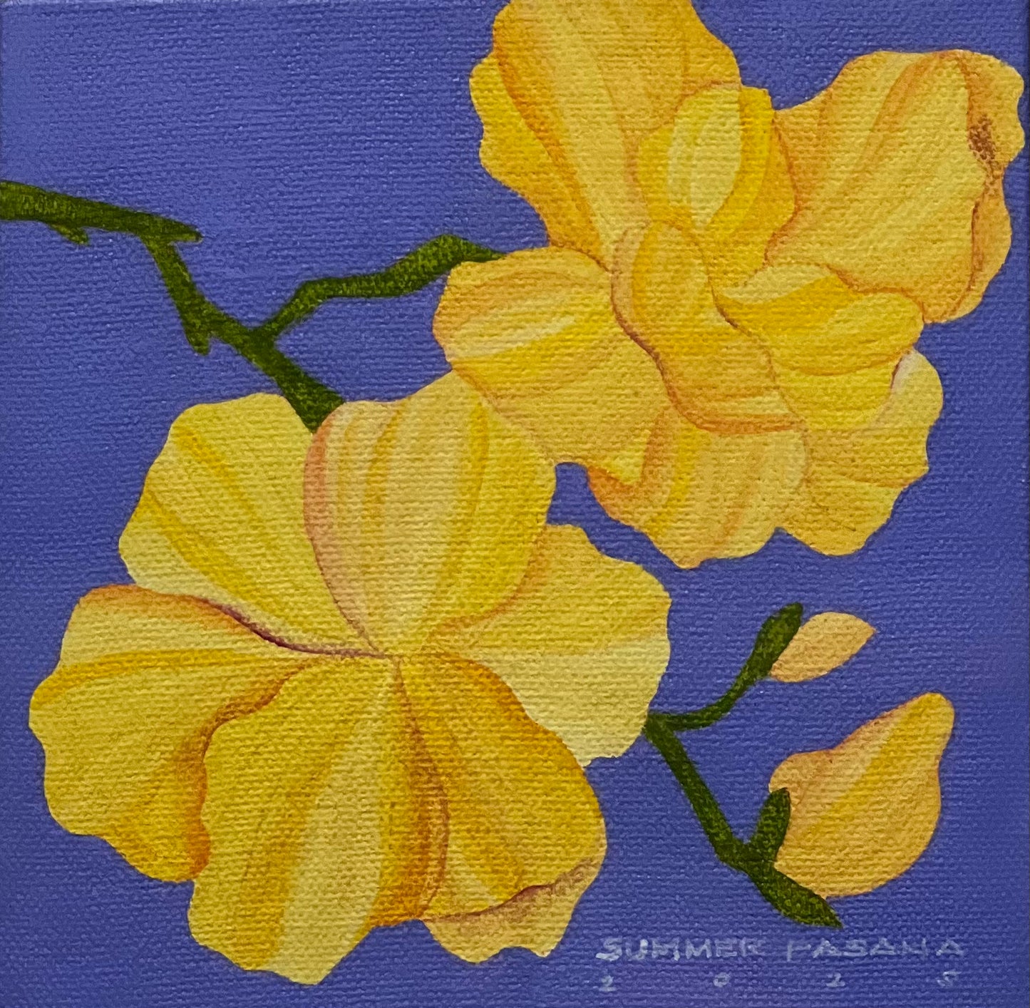 Say You Need Me with You Now and Always