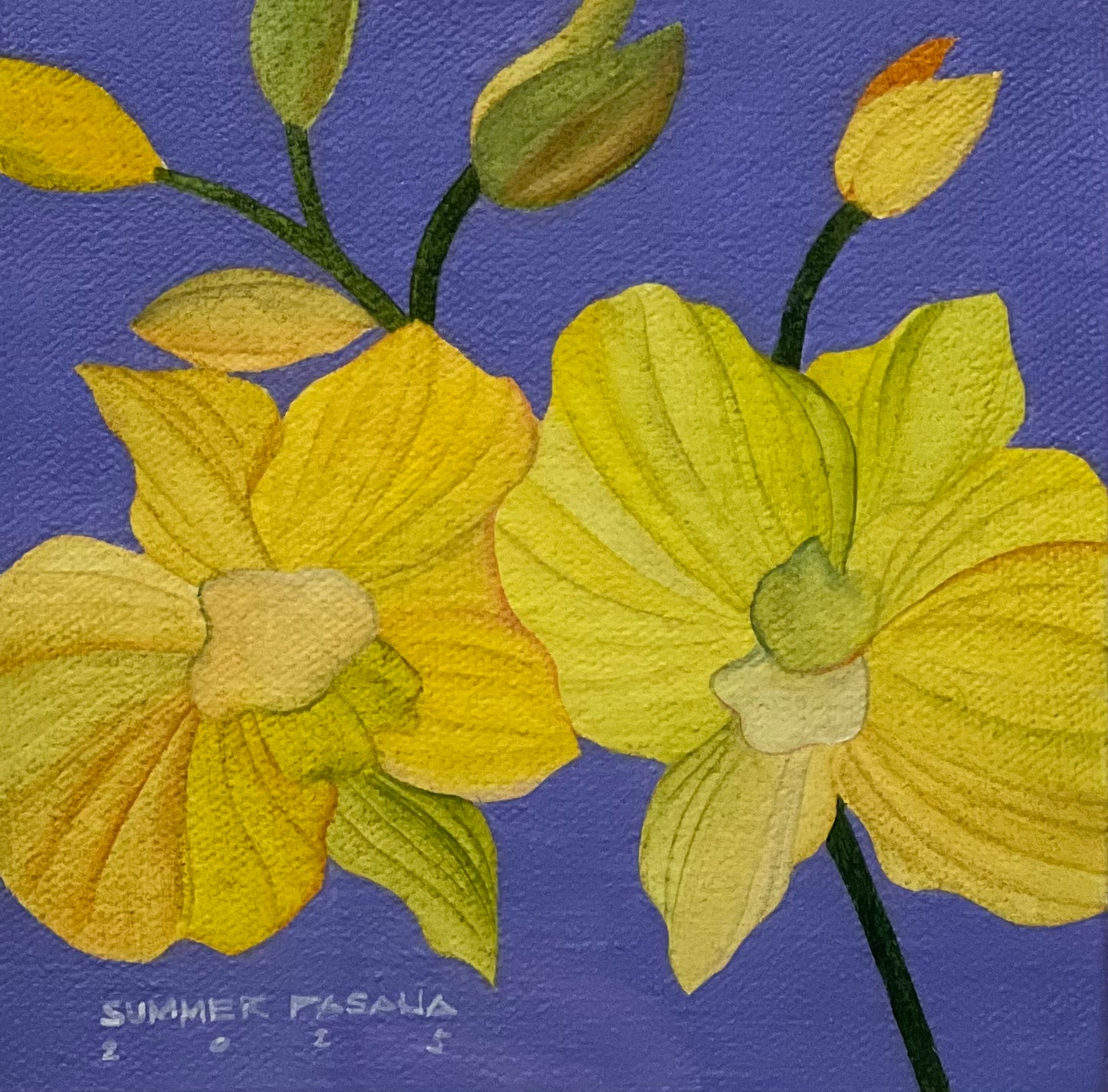 A World with No More Night