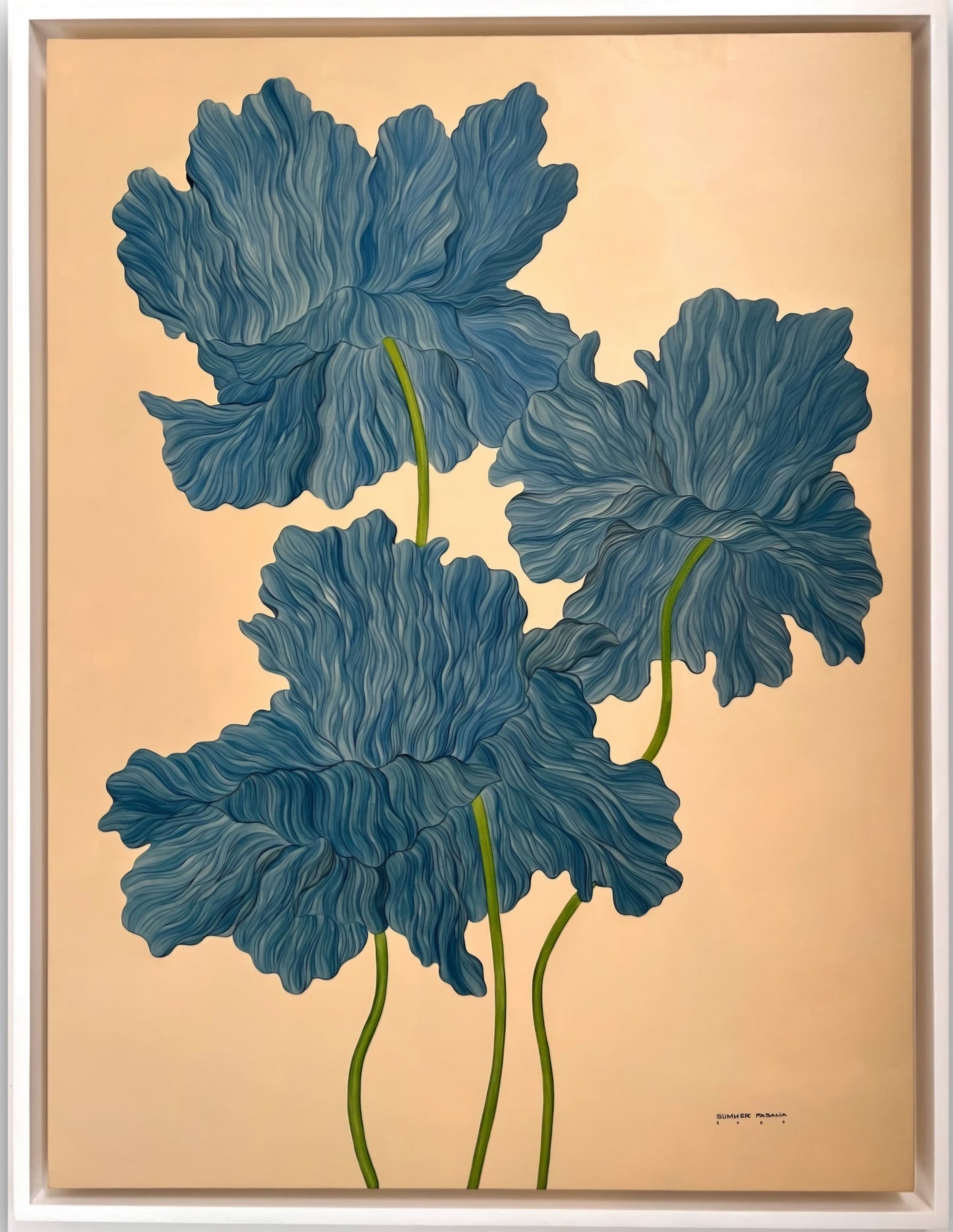 The Himalayan Blue Poppy
