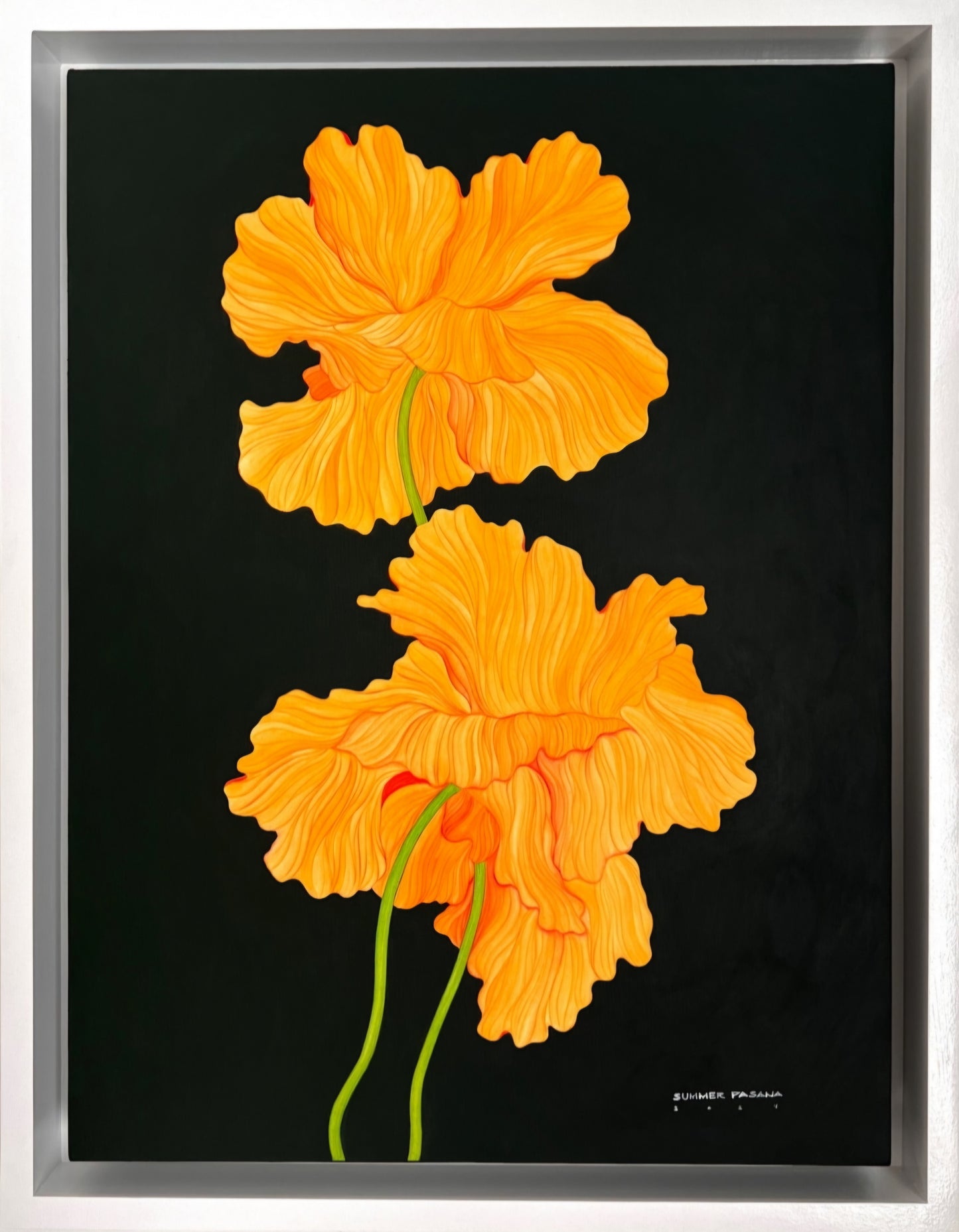 The Golden Age Poppy