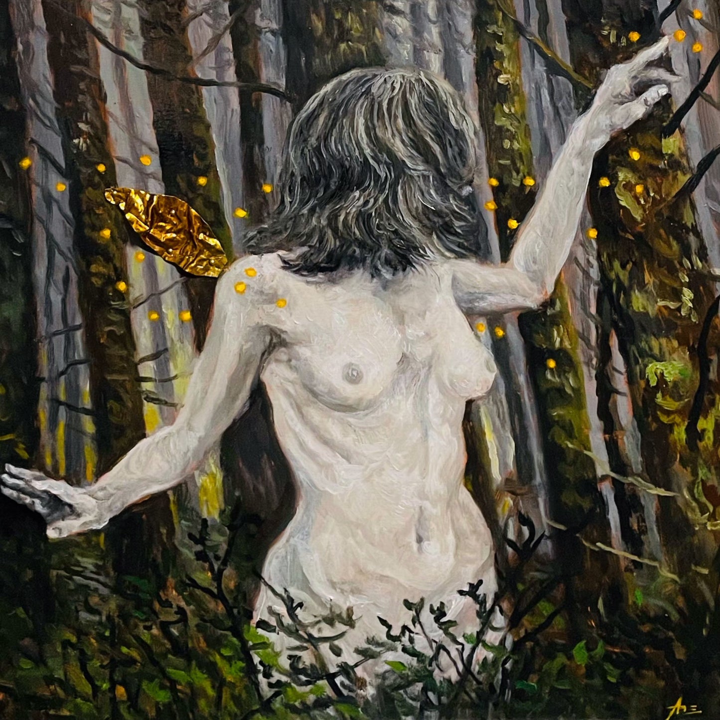 The Forest Tells Us Many Secrets