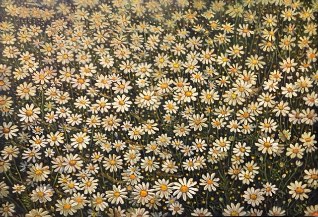 We Are All Portraits of Hope