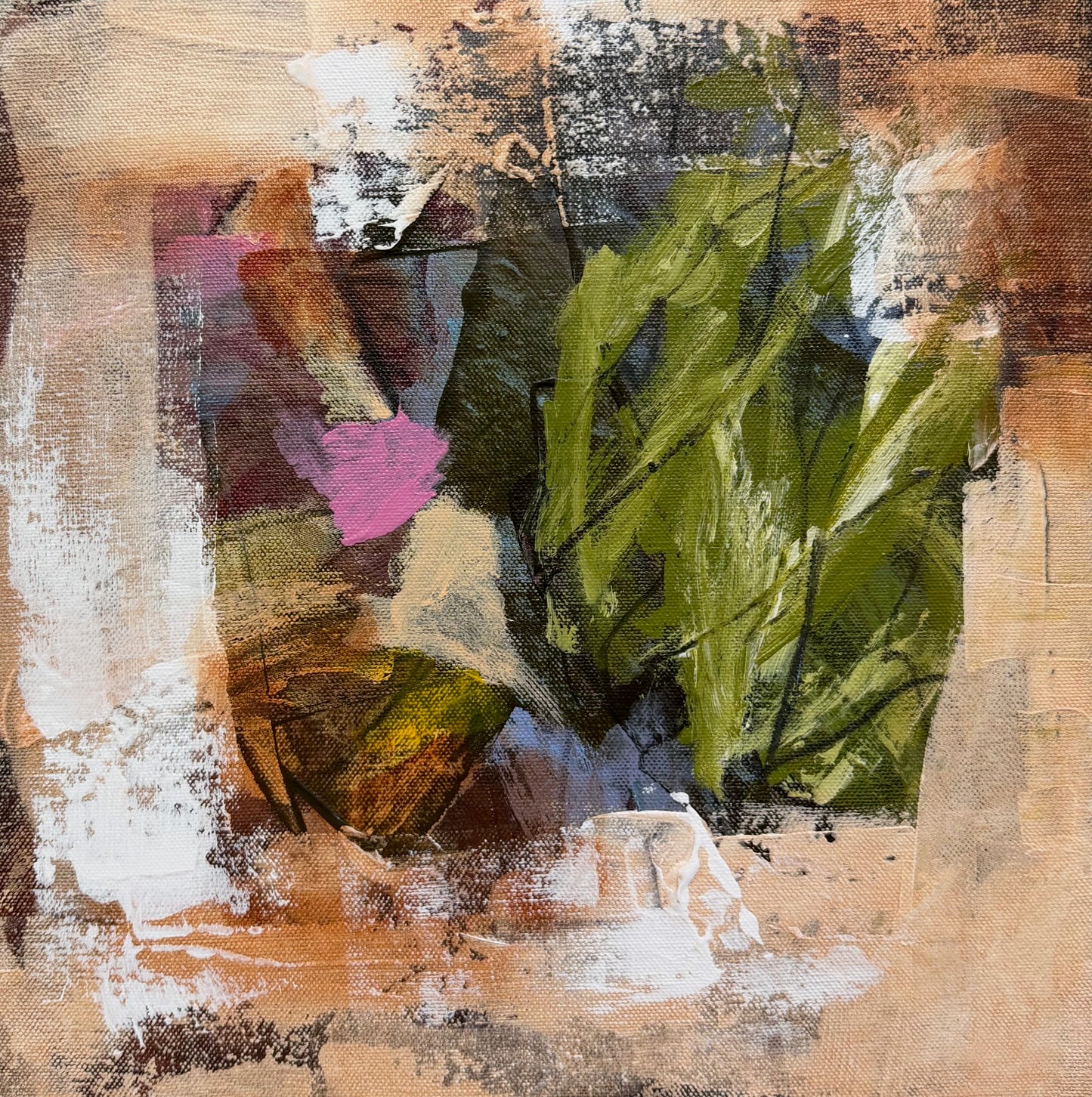 December Glow Series (1)