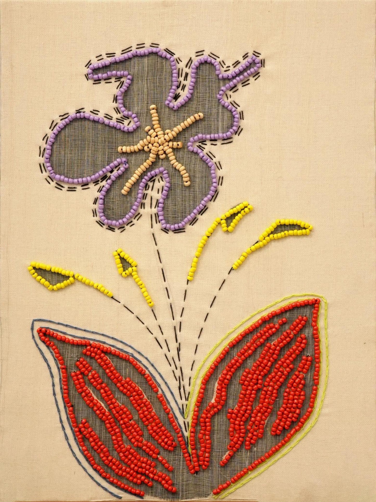 Petalia 1