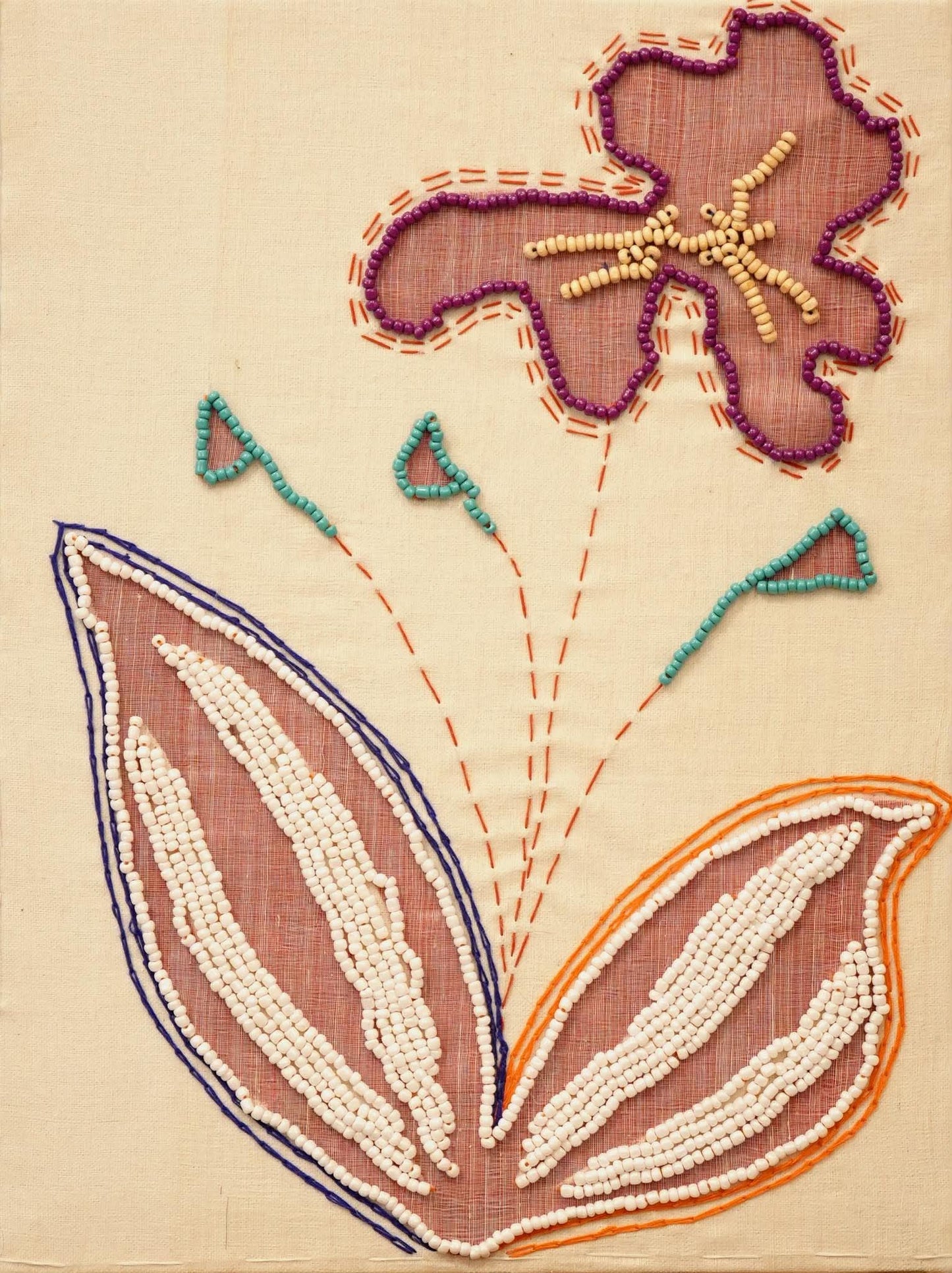 Petalia 2