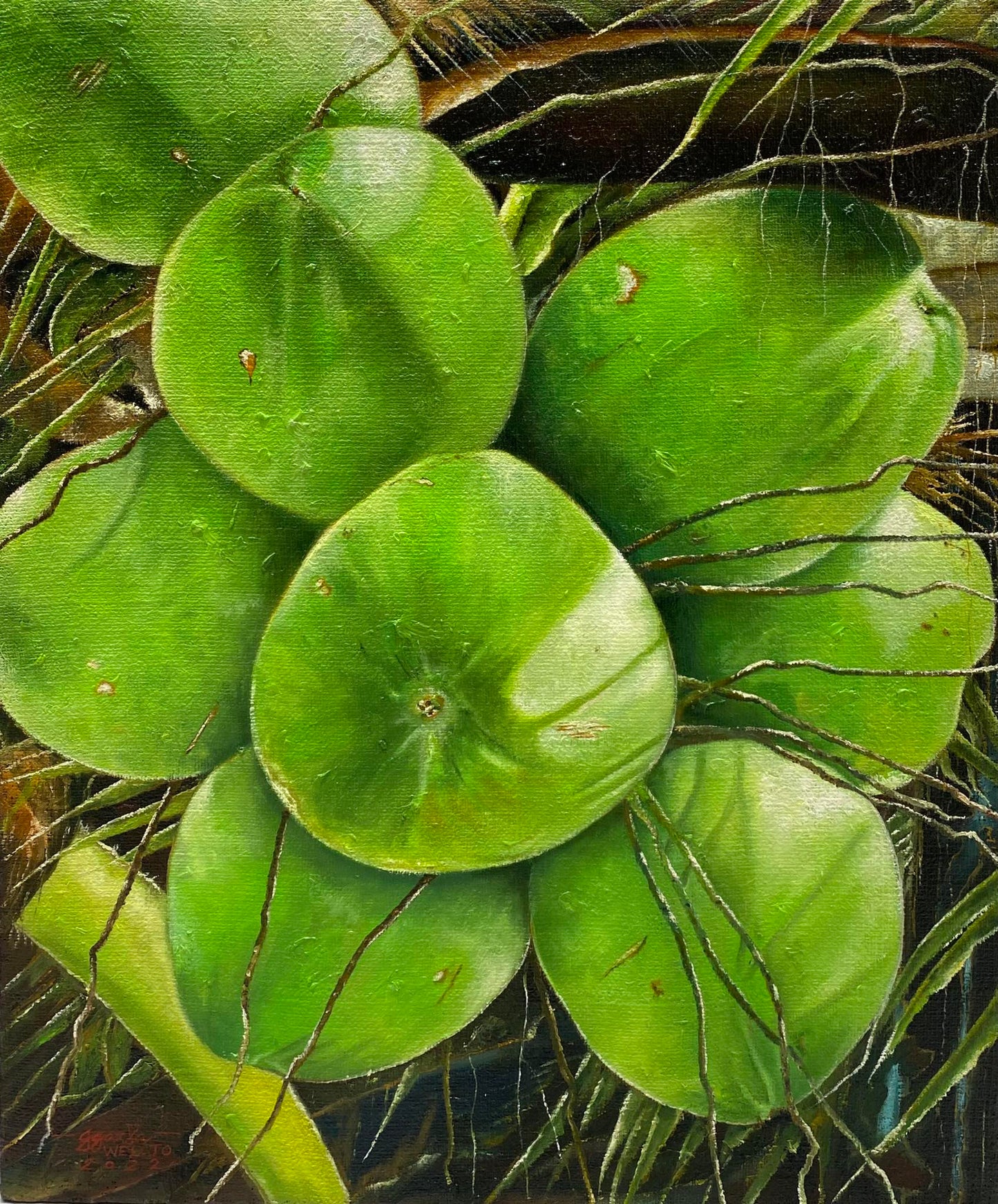 Young Coconut Series I