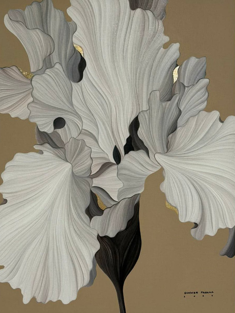 Iris Domino Noir
