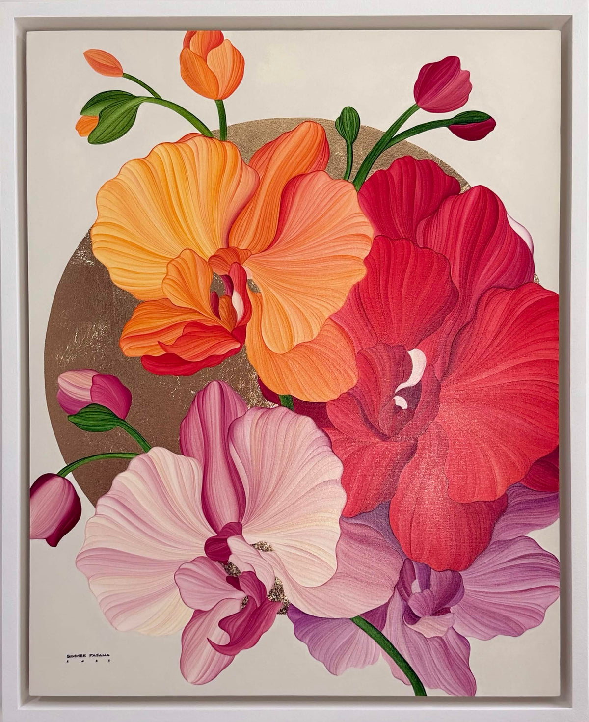 Freedom & Orchids