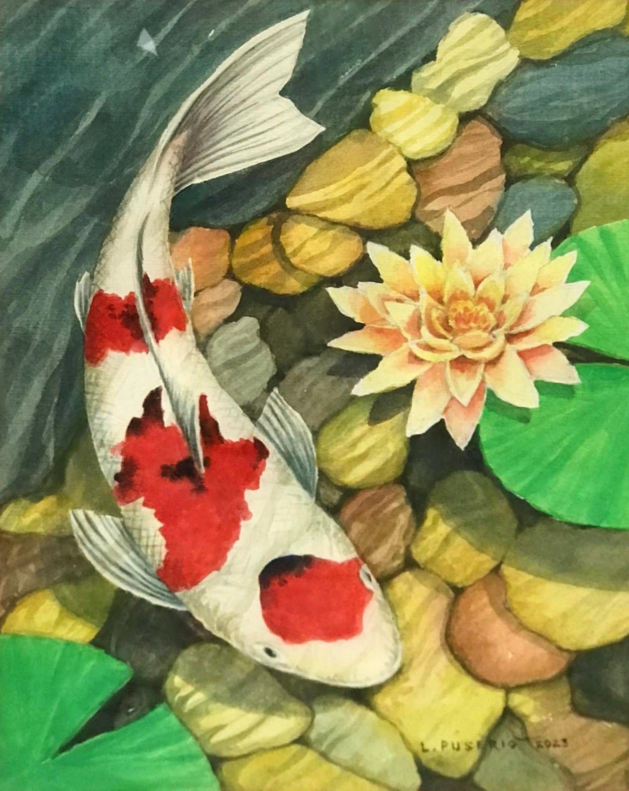 Koi Fish