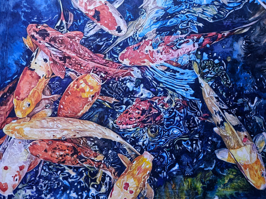 A Gleam of Koi