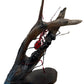 Black & Red Ant