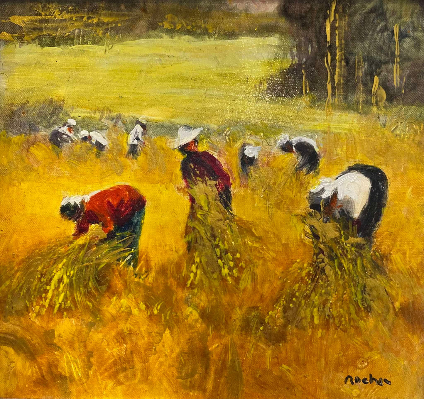 Golden Rice Harvest
