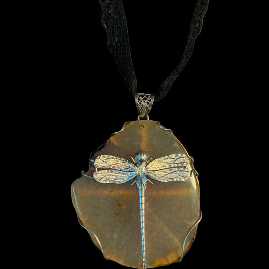 Odonata