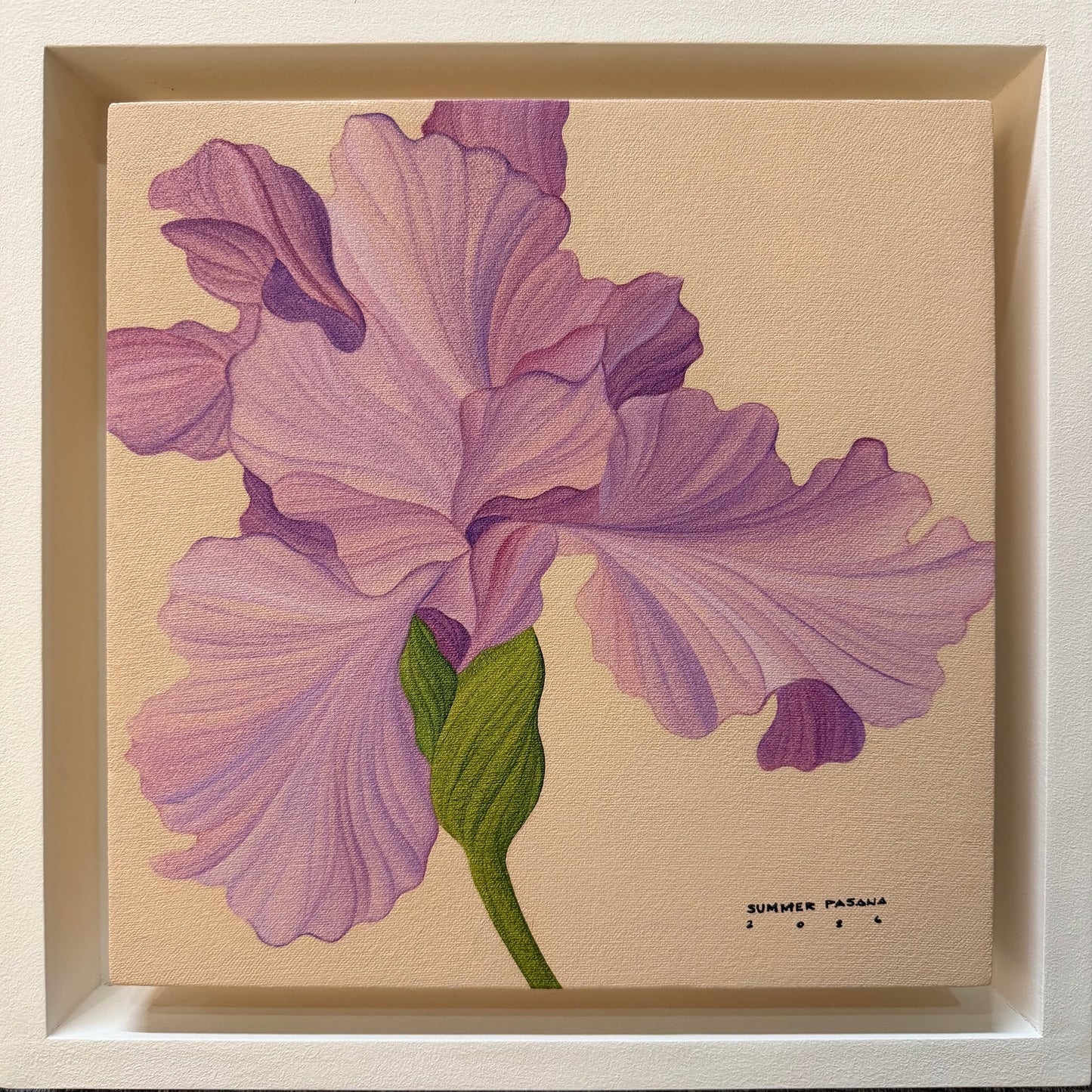 The Calm After the Storm