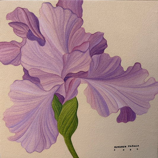 The Calm After the Storm