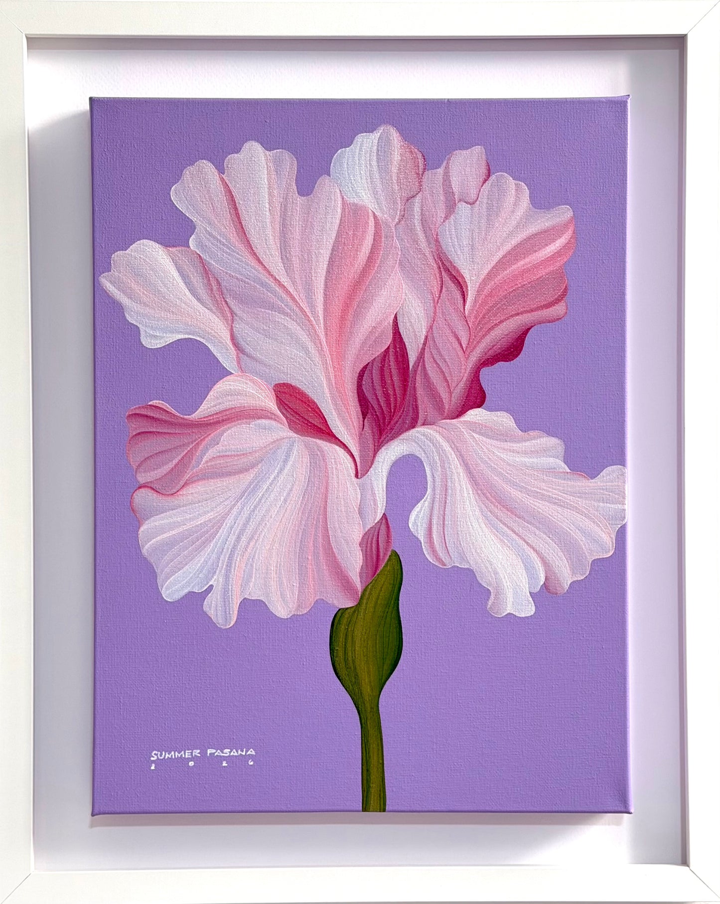 Iris and Lilac