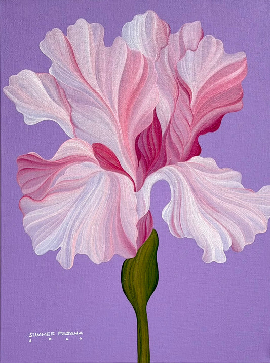 Iris and Lilac