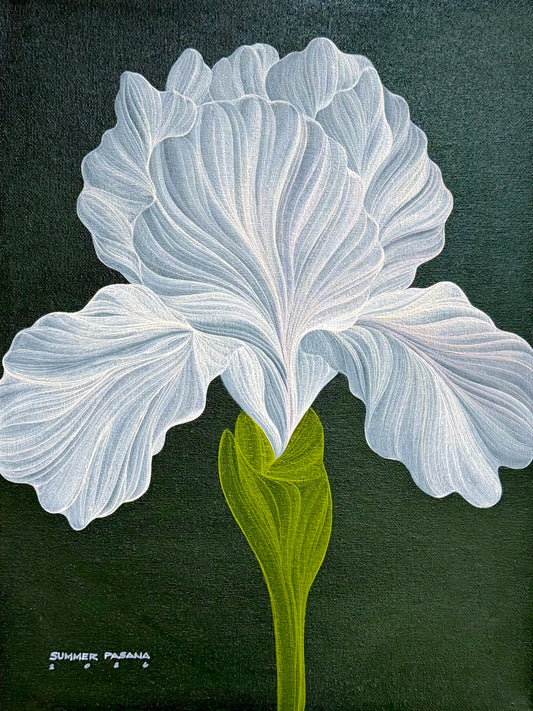 Stillness in White