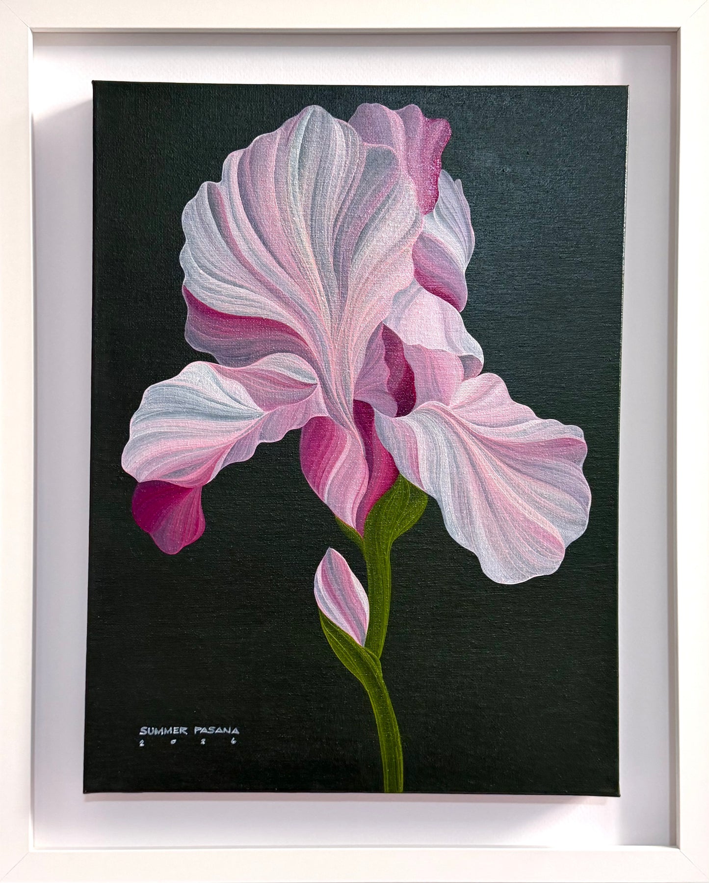 Rosewater Bloom