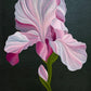 Rosewater Bloom