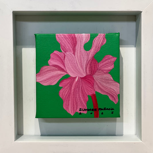 If You Could Only See Yourself Like Me