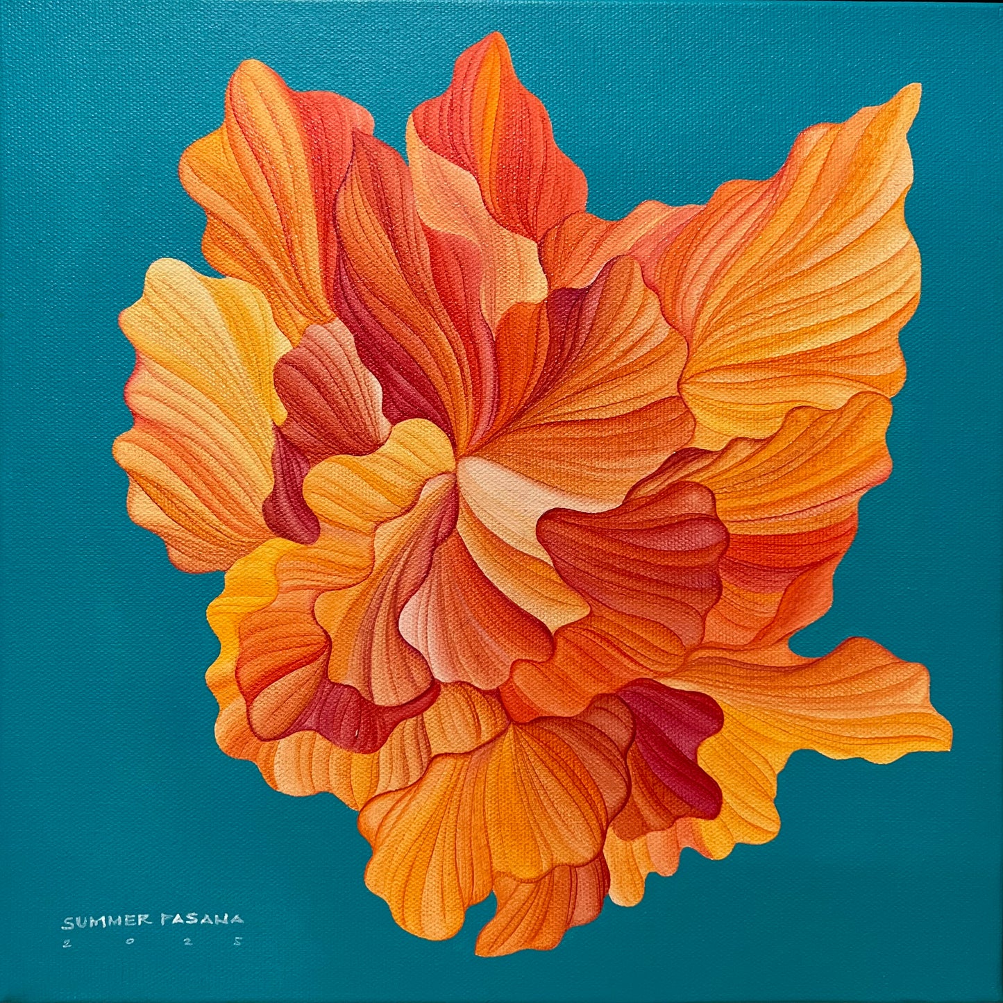 A Time of Reflection