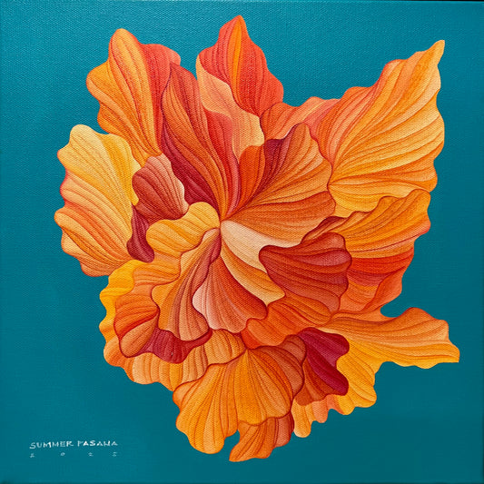 A Time of Reflection