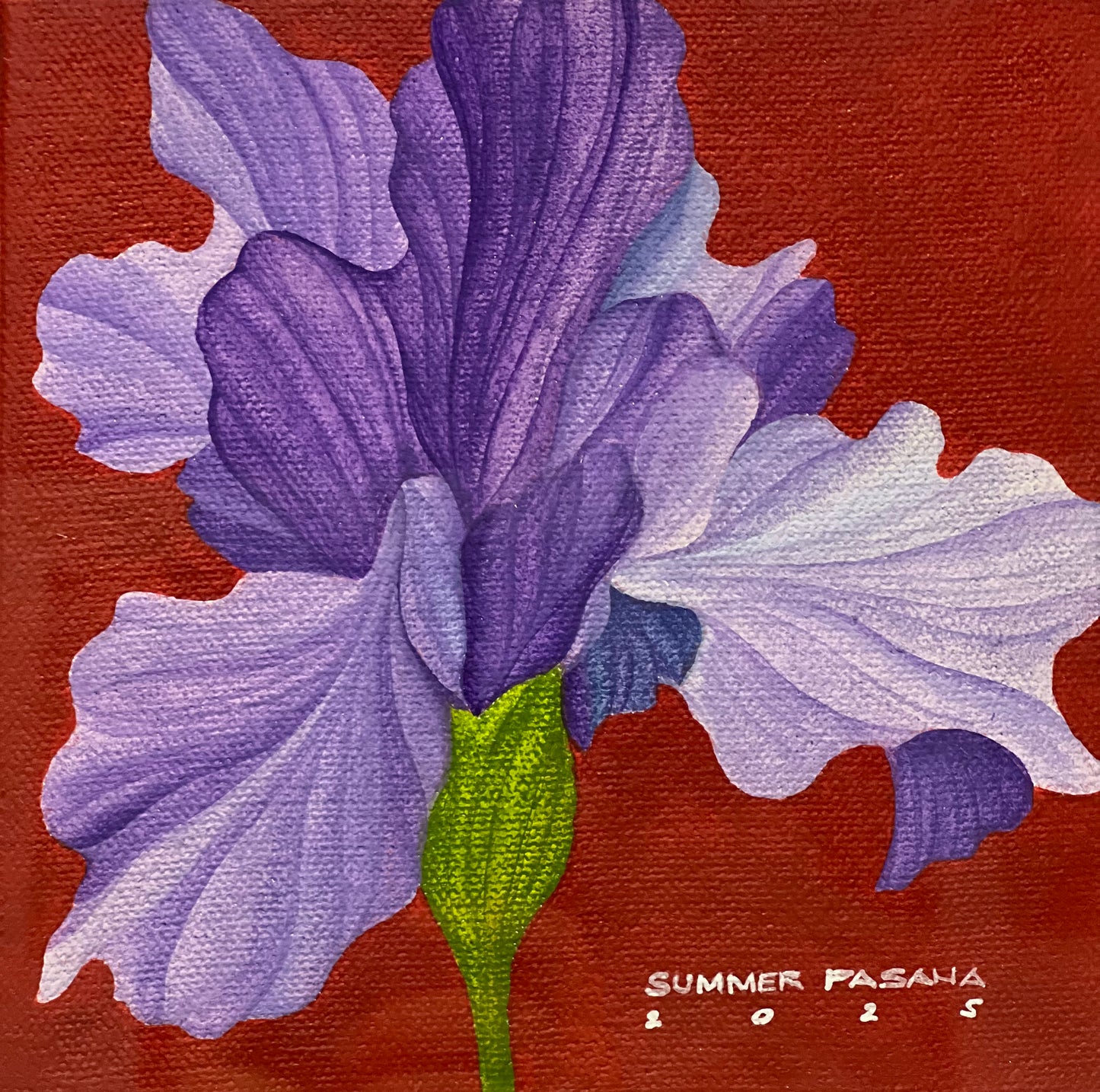 All I Want is Freedom