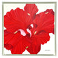 Scarlet Hymns I