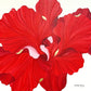 Scarlet Hymns I