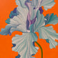 Iris Velet D' Amour