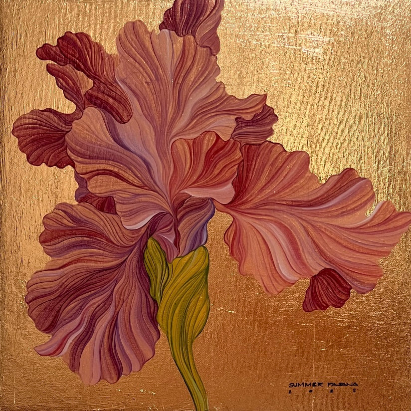 Iris Golden Hour