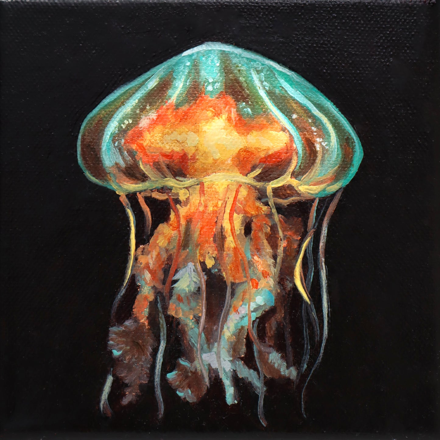 Jellyfish Studies II