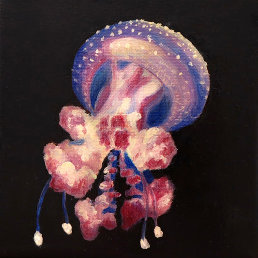 Jellyfish Studies III