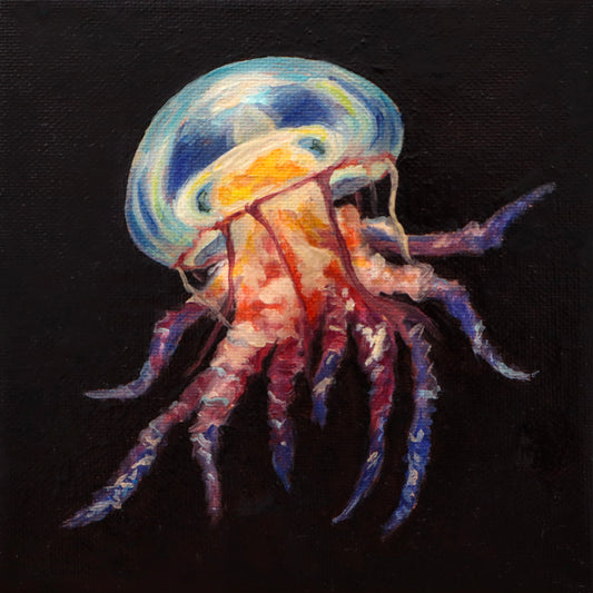 Jellyfish Studies IV