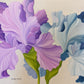 Love Higher than the Skies Above