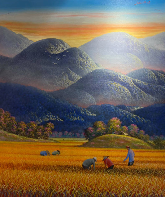 Harvest Time