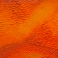 Fiery Summer