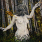 The Forest Tells Us Many Secrets