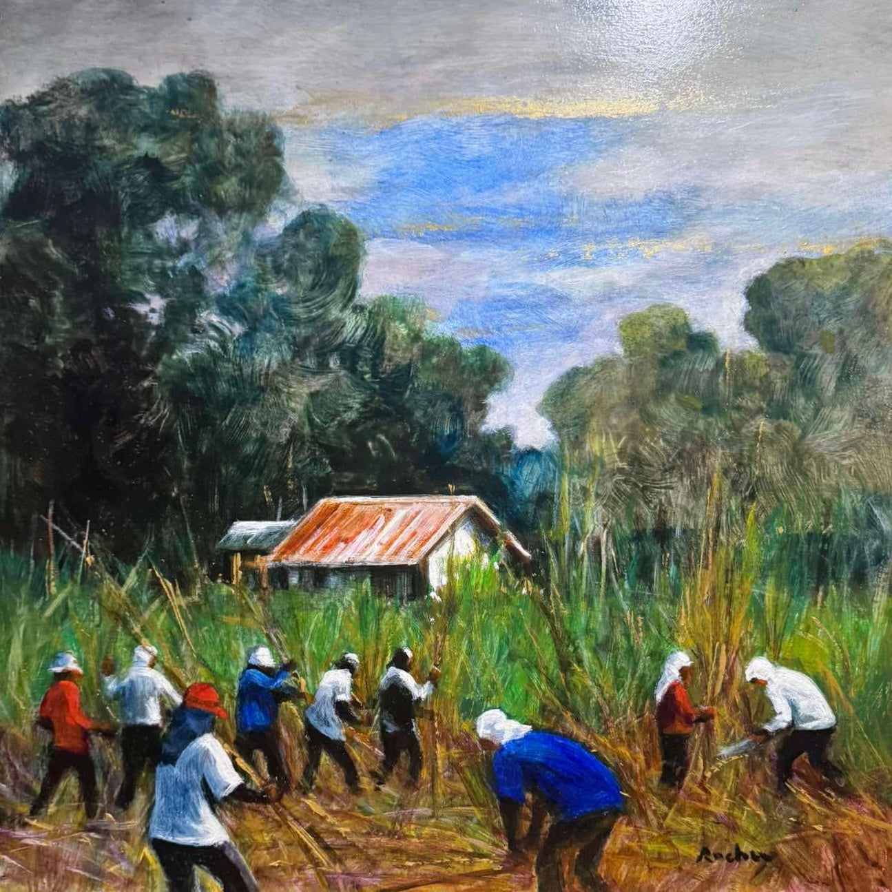 Sugarcane Harvest