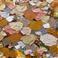 Leaves in the Garden