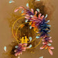 Petals of Us